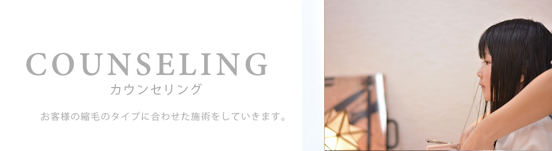 札幌市平岸の美容室セブリーヌのカウンセリングページです